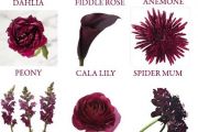 burgundy-wedding-theme-color-scheme5