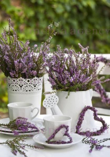 43850a344dcb92429ee6d73f05046fb9