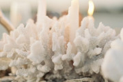 white-coral-beach-wedding-centerpiece-with-candle