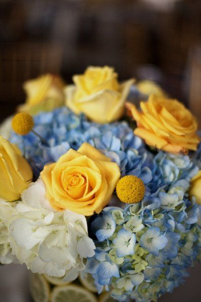 yellow-blue-wedding-2