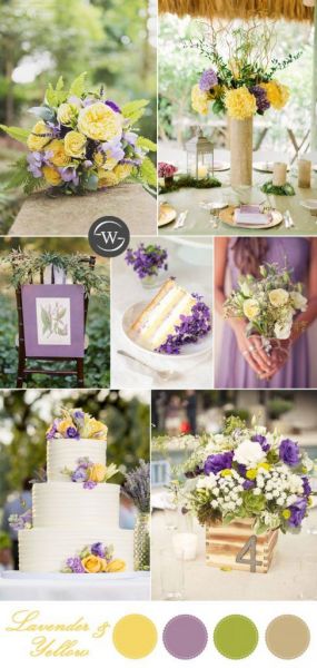 yellow-purple-13