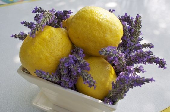 yellow-purple-17