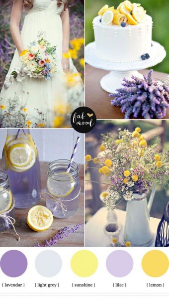 yellow-purple-18