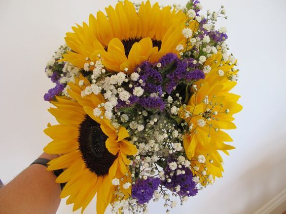 yellow-purple-3